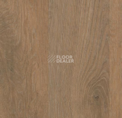 Линолеум Forbo SureStep Wood 18972 rustic oak фото 1 | FLOORDEALER